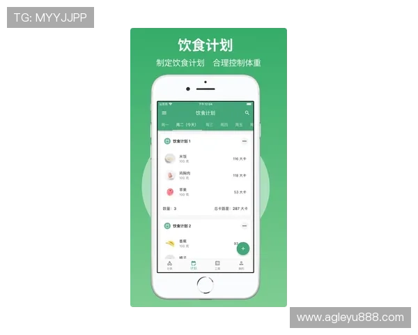 乐鱼app手机版下载官网最新官方正式线路，下载安装流程详细说明