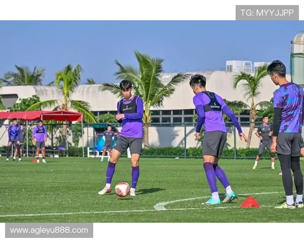 乐鱼体育下载AP提高观看体验的实用技巧分享