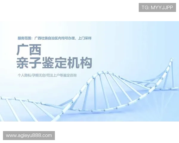 乐鱼体育登陆全流程指南帮助新手快速上手体育娱乐平台