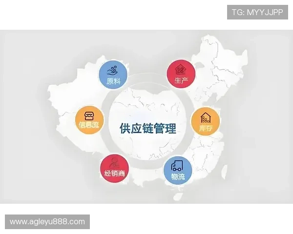 乐鱼国际站打造一站式采购平台，满足全球客户多样化需求