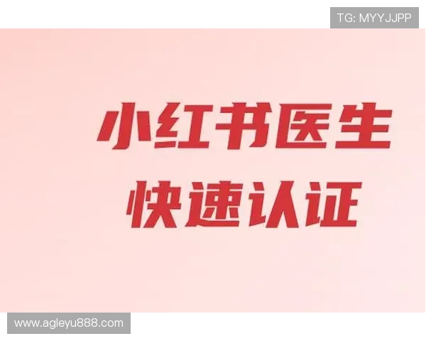 乐鱼官方平台登录网址指南帮助用户轻松找到正确入口快速进入账号登录页面