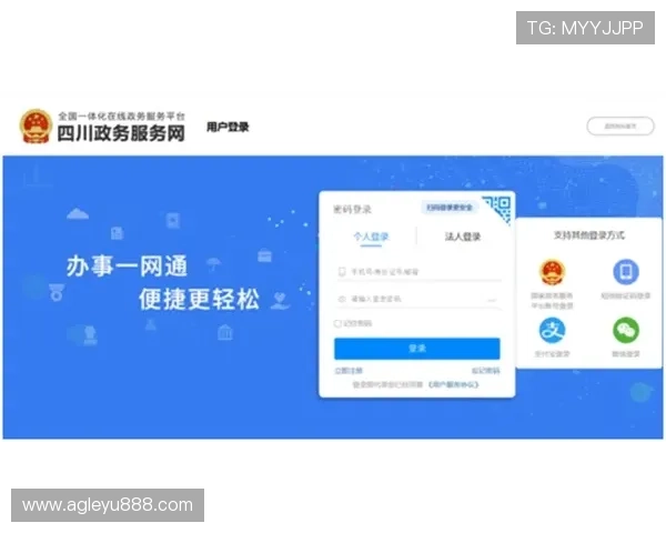 乐鱼平台网页版注册流程详解及新手入门指南，快速开启你的体育之旅