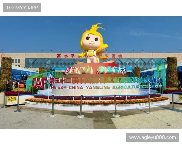 乐鱼平台地址入口常见问题解答，教你轻松找到乐鱼平台最新入口和登录步骤