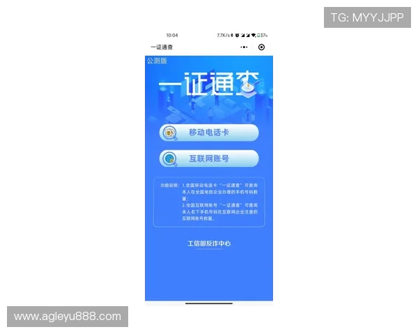 乐鱼开户后如何进行账户安全设置与风险控制