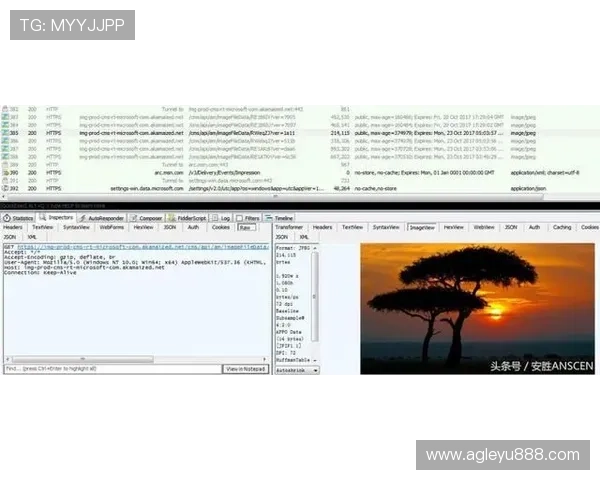 乐鱼最新域名变更过程中用户常见疑问及应对策略