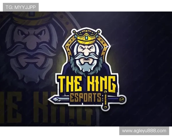 乐鱼电子游戏平台怎么样：技术支持与界面设计的用户体验分享