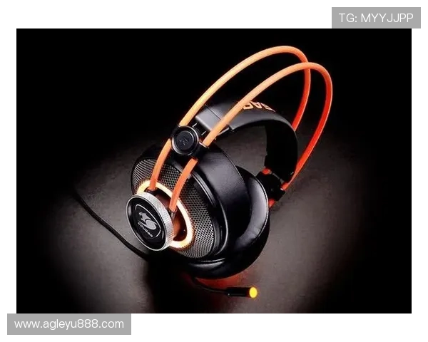 乐鱼电竞专业版官网详细介绍最新功能与使用指南助你打造最佳电竞体验