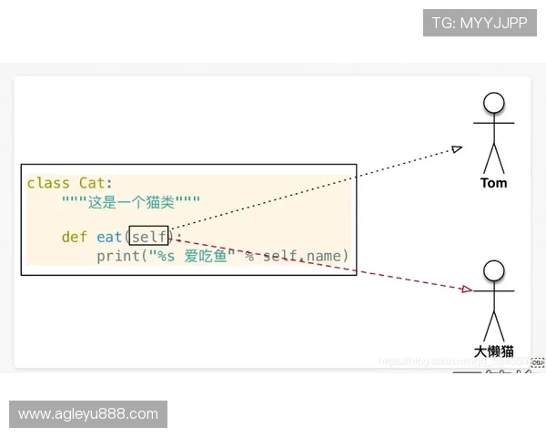 不同类型投球的理想球速范围及其在比赛中的应用技巧