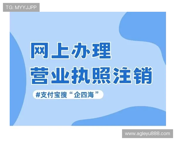 乐鱼代理合作流程详解新手也能快速上手实现稳定盈利 乐鱼代理合作流程详解新手也能快速上手实现稳定盈利