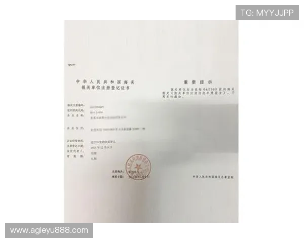 乐鱼体育注册中心详细流程解析让用户轻松完成账号注册与登录 乐鱼体育注册中心详细流程解析让用户轻松完成账号注册与登录