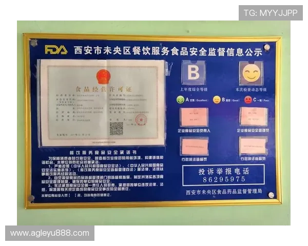 乐鱼官网入口免费下载安全稳定，保障玩家账号信息安全的最佳选择