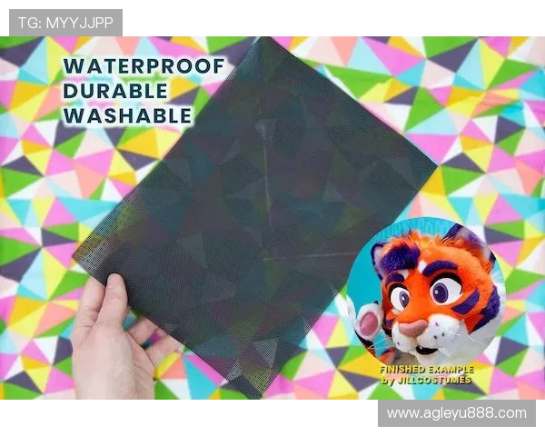 乐鱼平台网页版注册流程详细步骤及新手快速入门技巧