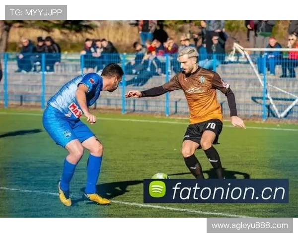 乐鱼最新首页登录不了的原因分析与快速解决方法详解