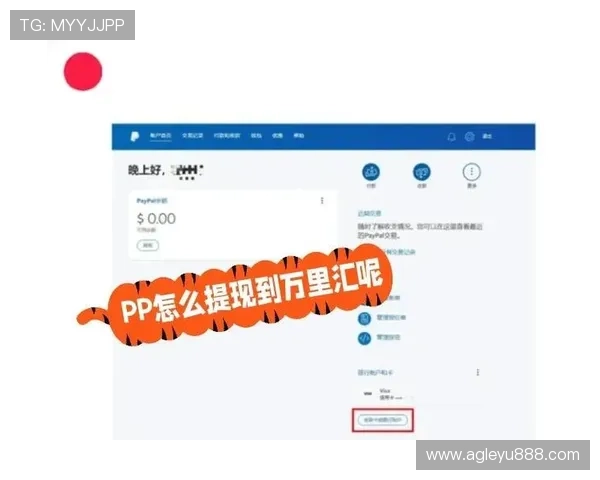 乐鱼网站充值提现流程详解快速便捷的资金操作指南
