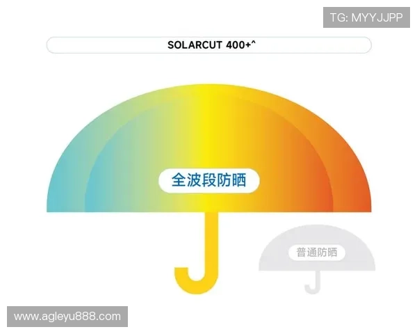 leyu手机版登录入口官网官方平台详细指南，助力用户快速找到安全稳定的登录入口保障账号安全