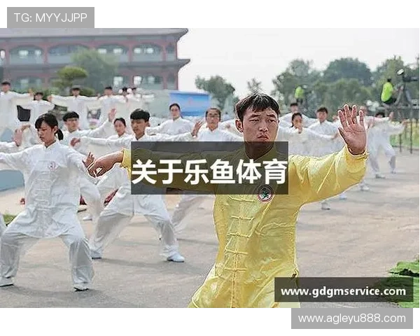 乐鱼app体育官网登录网址最新入口，便捷安全的官方登录指南推荐